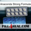 Anaconda Strong Formula 34